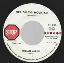 7inch Vinyl Single - Rosalie Allen - Fire On The Mountain