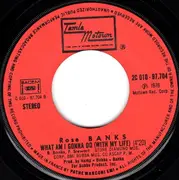 7inch Vinyl Single - Rose Banks - Whole New Thing