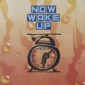 Rose-Room-Dance-Band - Now Wake Up