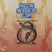 LP - Rose-Room-Dance-Band - Now Wake Up