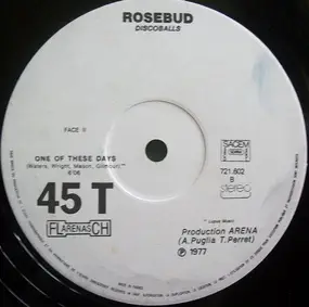 Rosebud - Have A Cigar / One Of These Days