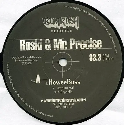 Roski & Mr. Precise - HoweeBuss / Take It Off