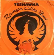 Rossington Collins Band - Teshawna
