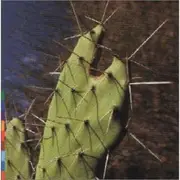 CD - Rossy - Island of Ghosts