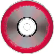 CD Single - Rough House Survivers - You Got It - Digisleeve