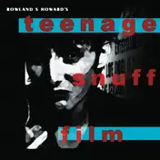 Rowland S. & The Howard - Teenage Snuff Film