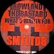 Rowland The Bastard - What U Waitin For