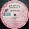 12inch Vinyl Single - Roxxy - We Can Touch The Sky