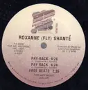 12inch Vinyl Single - Roxanne (Fly) Shanté - Pay Back