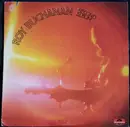 LP - Roy Buchanan - Second Album