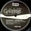 12'' - Roy Davis Jr. - Gabrielle