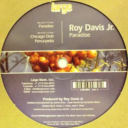 ROY -JR- DAVIS - PARADISE