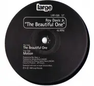 Roy Davis Jr. - The Beautiful One