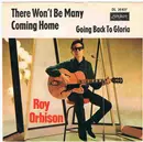 7inch Vinyl Single - Roy Orbison - There Won't Be Many Coming Home