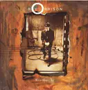 12inch Vinyl Single - Roy Orbison - You Got It