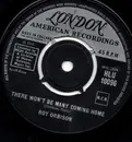 7inch Vinyl Single - Roy Orbison - There Won't Be Many Coming Home