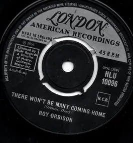 Roy Orbison - There Won't Be Many Coming Home