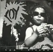 Fuzzy Shamus Records