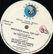 Roy The Boy Presents Apachaca - I'm Too Late