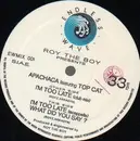 12inch Vinyl Single - Roy The Boy Presents Apachaca - I'm Too Late