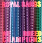 Royal Bangs - We Breed Champions