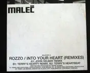 Rozzo - Into Your Heart (Remixes)
