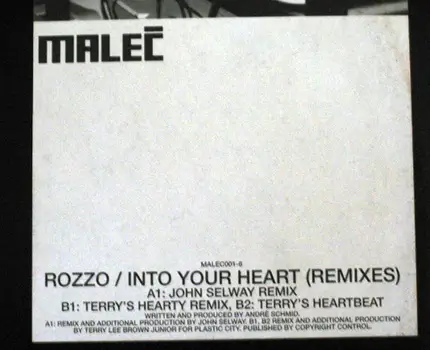 Rozzo - Into Your Heart (Remixes)