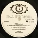 12inch Vinyl Single - Rozalla - Are You Ready To Fly