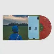 Rozi Plain - What A Boost - Eco Vinyl Reissue