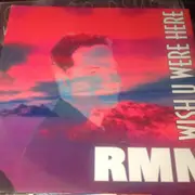 12inch Vinyl Single - Rmn - Wish U Were Here