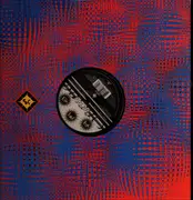 12inch Vinyl Single - Rmb - Spring - Company Sleeve
