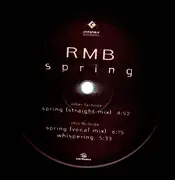12inch Vinyl Single - Rmb - Spring