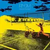 LP - Rndm - Ghost Riding (vinyl) - FT JEFF AMENT OF PEARL JAM
