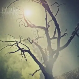 RWAKE - Rest