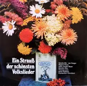 LP - Rundfunk-Tanzorchester Berlin - Ein Strauß Der Schönsten Volkslieder