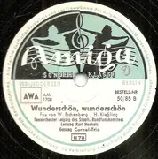 Schellack - Rundfunk-Tanzorchester Leipzig , Kurt Henkels - Diesmal Muß Es Liebe Sein / Wunderschön, Wunderschön