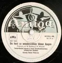 Schellack - Rundfunk-Tanzorchester Leipzig ,Leitung Kurt Henkels ,Gesang Hanns Petersen - Du Hast So Wunderschöne Blaue Augen / Jawoll! Das Ist Musik!