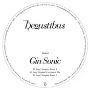 Rubini - Ginsonic ( Dj Naughty Rmxs )
