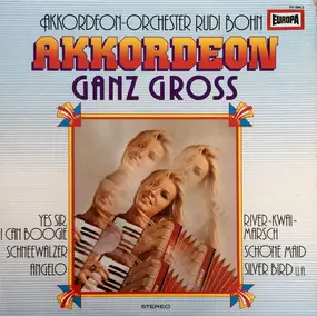 Rudi Bohn Und Sein Orchester - Akkordeon Ganz Gross