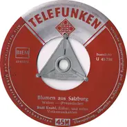 Rudi Knabl - Blumen aus Salzburg