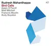 LP - Rudresh Mahanthappa - Bird Calls - AUDIOPHILE VINYL
