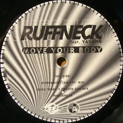 Ruffneck Feat. Yavahn - Move Your Body