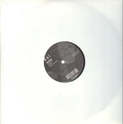Rui Da Silva - AMIDAR