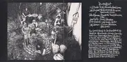 CD - Rusted Root - Cruel Sun