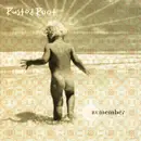 CD - Rusted Root - Remember