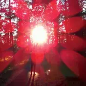 Russian Circles - Empros (repress 2024)