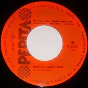 7inch Vinyl Single - Ruttkai Éva És Latinovits Zoltán - Hol Van Az A Nyár ?