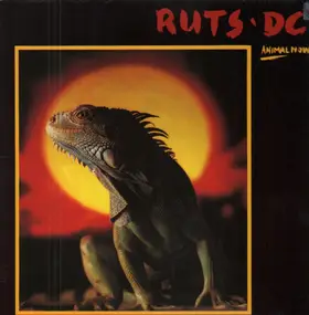 Ruts DC - Animal Now