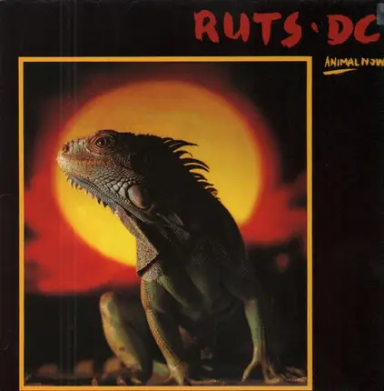 Ruts DC - Animal Now