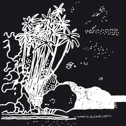 Rvds - Moon On Milky Way